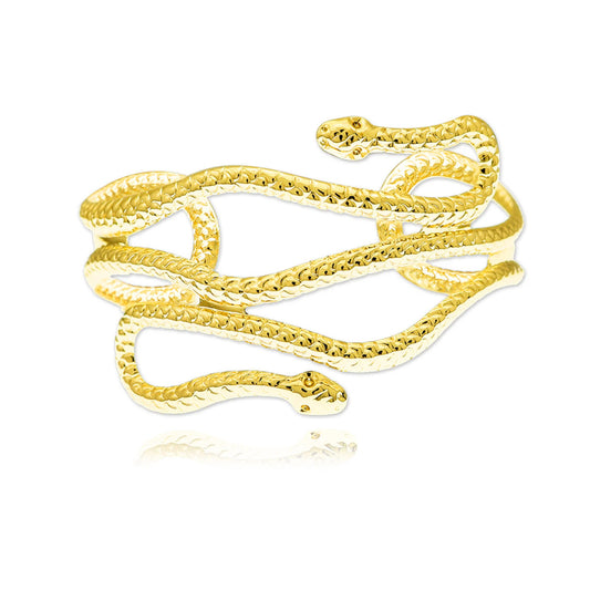 Womenβs Snake Earring & Bracelet Jewelry Set